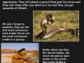 Australia, land of remarkable sights