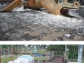 Abandoned amusement parks