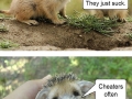 Hard truths from baby animals