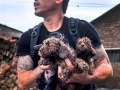 Dude almost died to save pups from dog meat festival in Asia (Graphic)