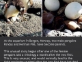Nature is weird and awesome