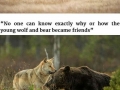 Nature is beautiful and surprising!