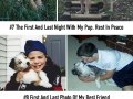 Heartbreaking first & last photos of pets