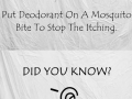 Things that you may not know