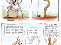 Australian animals have a problem