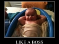 Like a boss