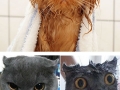 Before and after Bath