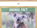 Fake animal facts at the Los Angeles Zoo