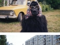 Russia at a glance