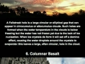 Ridiculously cool natural phenomena