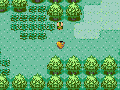Meanwhile in Pokemon's parallel universe