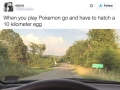 Slightly questionable ways people are hatching their Pokemon Go eggs