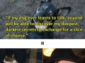 Shower thoughts that perfectly sum up pets