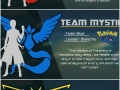 Pokemon GO team spirits