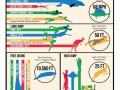 Olympics athletes vs average animals