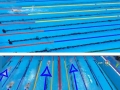 This is how much faster Katie Ledecky is