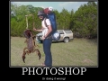 Fishing Level 9000