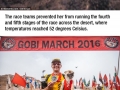 Runner adopts stray dog who ran 125km with him