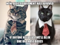 Cat being cat, one day, they will run the world