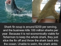 Faith in humanity lost