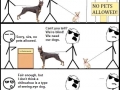 A chihuahua