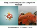 Real animals that inspired pokemon