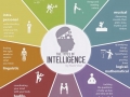 Types of intelligence