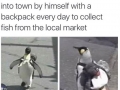 Best penguin ever