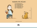 Illustrations every dog owner will understand
