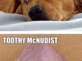 Better names for animals