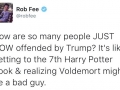 Except Voldemort has a good back story