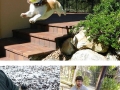 Animals having the best day ever