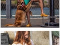 A hug dog