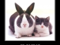 Cloning