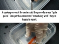A woman spent $500 on surgery for her goldfish