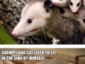 Animal expressions that sum up what its like to be a parent