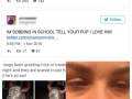 Everyone is heartbroken over this sad pit bull after people refused to pet him
