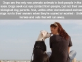 Dog is love, dog is life!