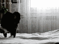 When you've lost your phone