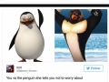 Gruesome battle between penguins over cheating wife