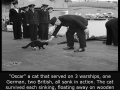 Unsinkable Sam