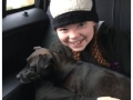 Hundreds turn up to take dying dog on last walk