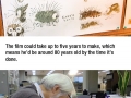 Hayao Miyazaki cancels retirement again