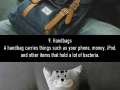 Things that are statistically dirtier than your toilet