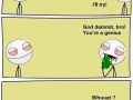 Always be high, invent something new