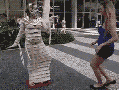 Woman gets b*tch slapped!