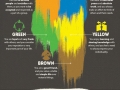 What does your favourite colour say about you?