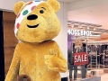 Disturbing Pudsey the Bear
