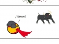 Animal sports