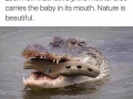 Beautiful nature